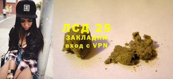 дживик Каменка