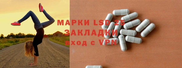 дживик Каменка