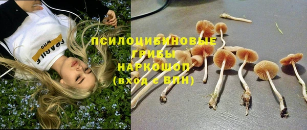 дживик Каменка