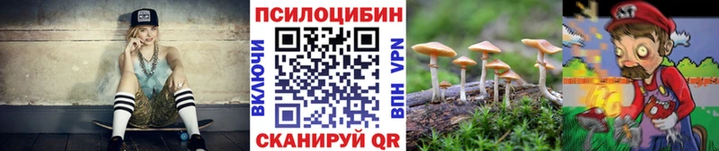 Купить  Давлеканово  Псилоцибиновые грибы мицелий 